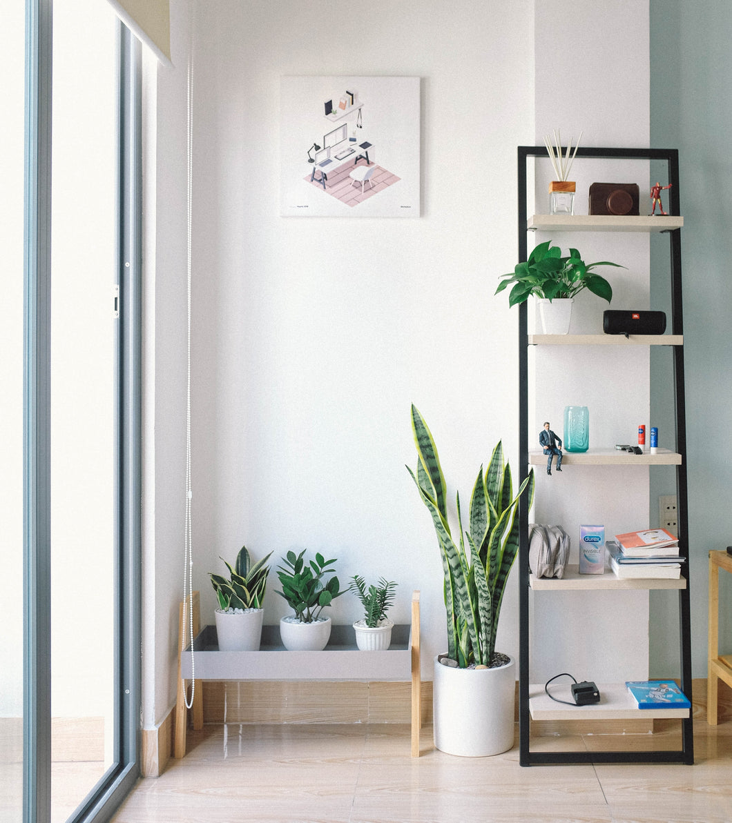 Residential Deep Clean (One-time Clean)